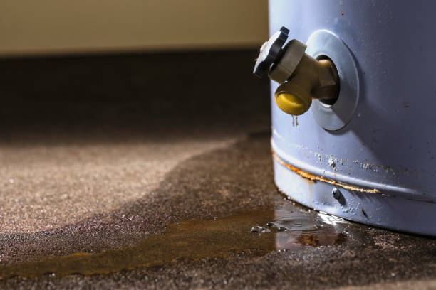 Best Water damage restoration company  in Stryker, OH
