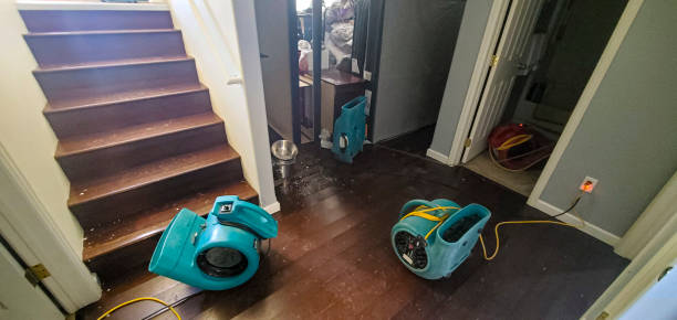 Best Flood restoration services  in Stryker, OH
