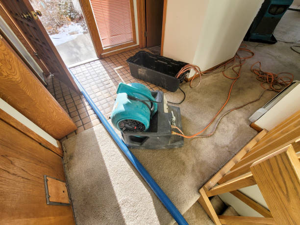 Best Water damage restoration cost  in Stryker, OH
