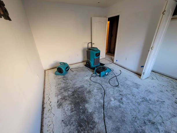 Best Flood restoration services  in Stryker, OH