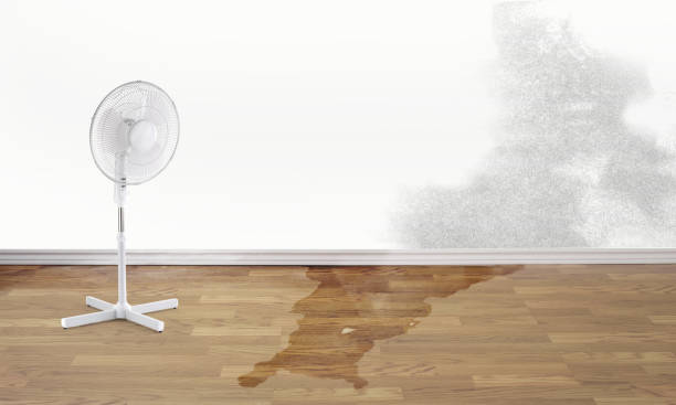 Best Water damage restoration near me  in Stryker, OH