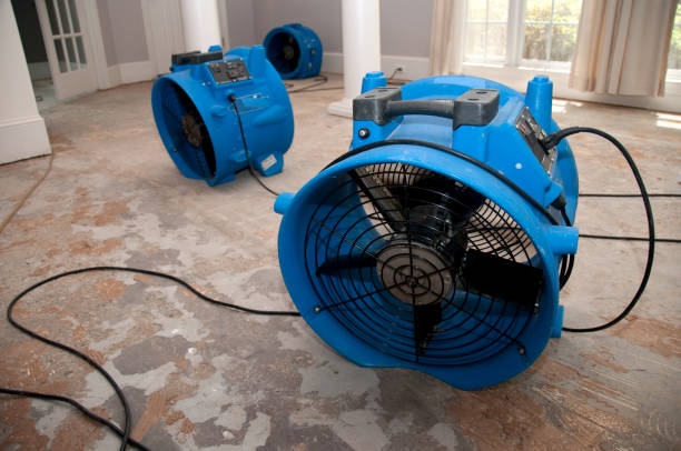 Best Water damage restoration insurance claims  in Stryker, OH