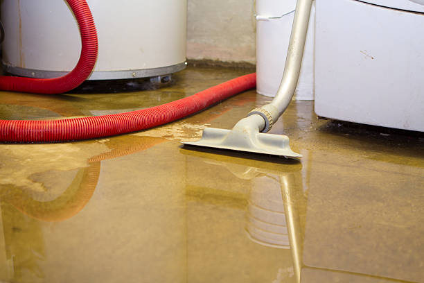 Best Water damage cleanup near me  in Stryker, OH