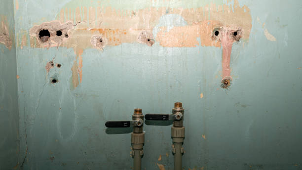 Best Flooded house restoration  in Stryker, OH